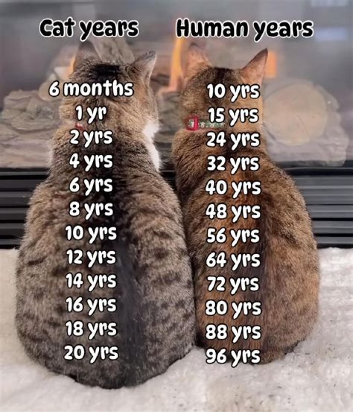 Lil Jairmy Age: How Old Is He?